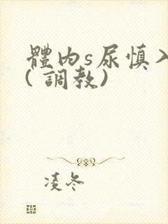 体内s尿慎入h( 调教)