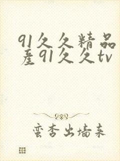 91久久精品国产91久久tv