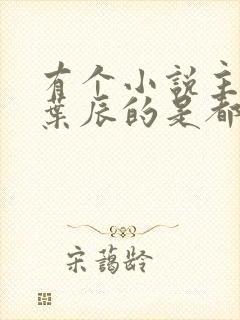 有个小说主角叫叶辰的是都市什么小说