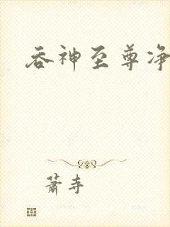 吞神至尊净无痕