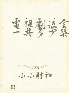 电视剧流金岁月一共多少集