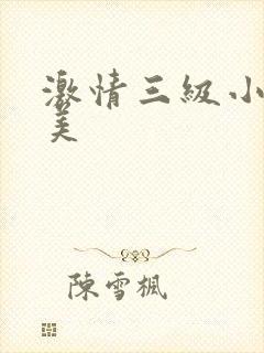 激情三级小说欧美