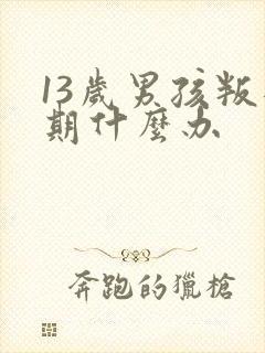 13岁男孩叛逆期什么办