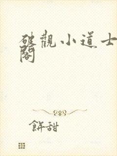 破观小道士笔趣阁