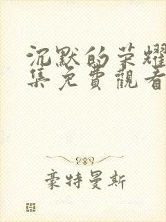 沉默的荣耀33集免费观看全集