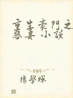 重生豪门之独宠恶妻 小说封面