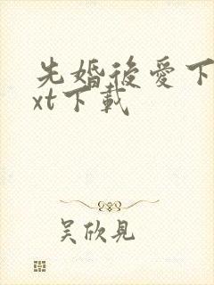 先婚后爱下载txt下载