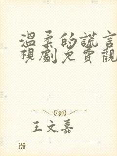 温柔的谎言 电视剧免费观看