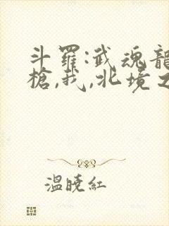 斗罗:武魂龙吟枪,我,北境之主