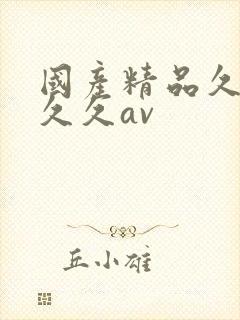 国产精品久久久久久av