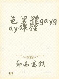 色男体gaygay裸体