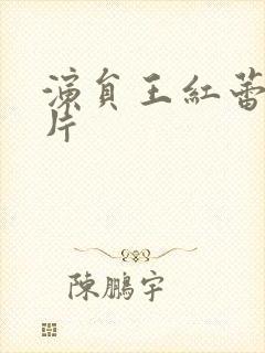 演员王红蕾的图片封面