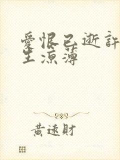 爱恨已逝许我半生凉薄封面