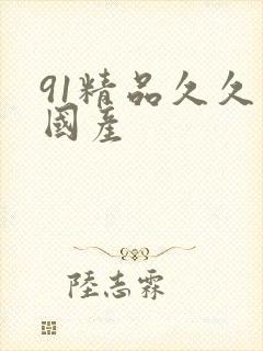 91精品久久久国产