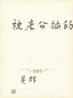 被老公插的好爽封面