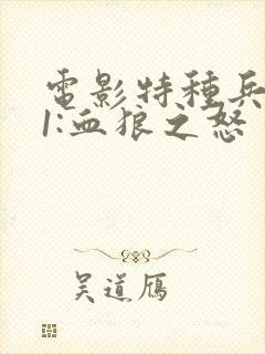 电影特种兵归来1:血狼之怒封面