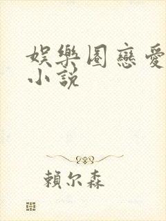 娱乐圈恋爱综艺小说