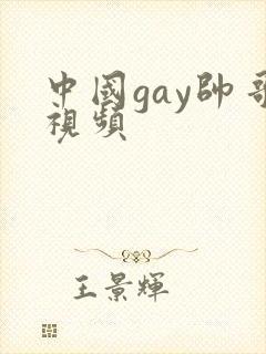 中国gay帅哥视频