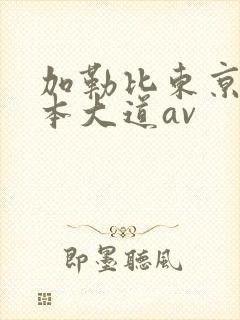 加勒比东京热一本大道av