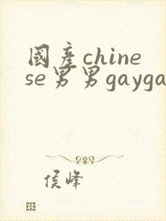 国产chinese男男gaygay xnxx