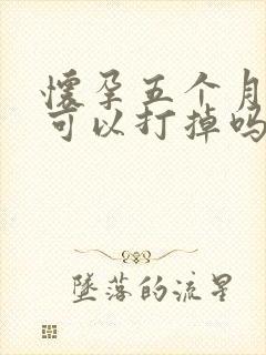 怀孕五个月小孩可以打掉吗