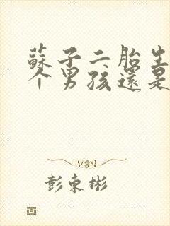 苏子二胎生了一个男孩还是女孩呢