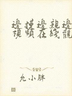 边摸边亲边插入视频在线观看