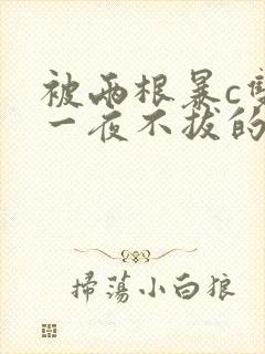 被两根暴c双性一夜不拔的小说封面