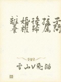 离婚后孩子的抚养权归属问题