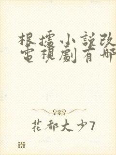 根据小说改编的电视剧有哪些