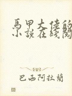 马甲大佬的妹妹小说在线阅读