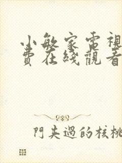 小敏家电视剧免费在线观看