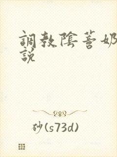 调教阴蒂奶子小说