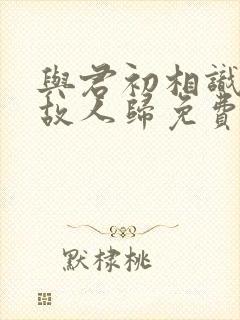 与君初相识恰似故人归免费看