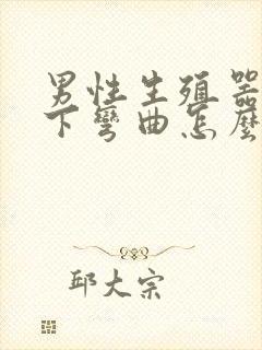 男性生殖器官向下弯曲怎么办封面