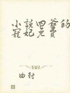 小说四爷的心尖宠妃免费