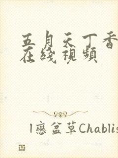 五月天丁香婷婷在线视频封面