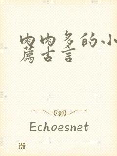 肉肉多的小吃推荐古言封面