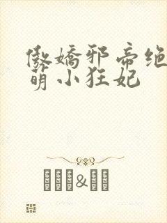 傲娇邪帝绝宠爆萌小狂妃