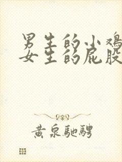 男生的小鸡插入女生的屁股里