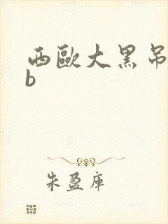 西欧大黑吊操白b封面
