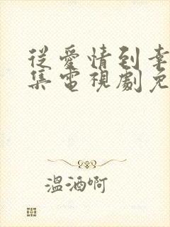 从爱情到幸福全集电视剧免费观看