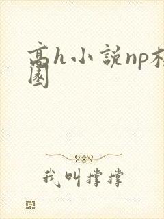 高h小说np校园封面