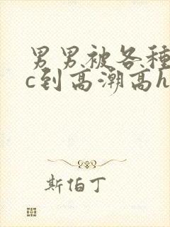 男男被各种姿势c到高潮高h