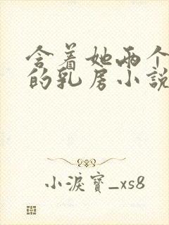 含着她两个硕大的乳房小说