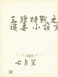 王牌特战之权少追妻 小说完整板