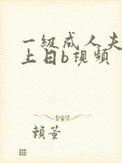 一级成人夫妻床上日b视频