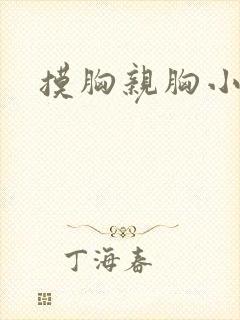 摸胸亲胸小说封面