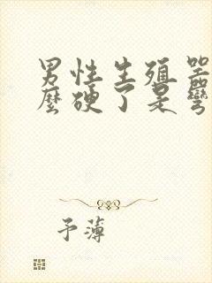 男性生殖器为什么硬了是弯的