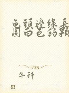 龟头边缘长了一圈白色的颗粒